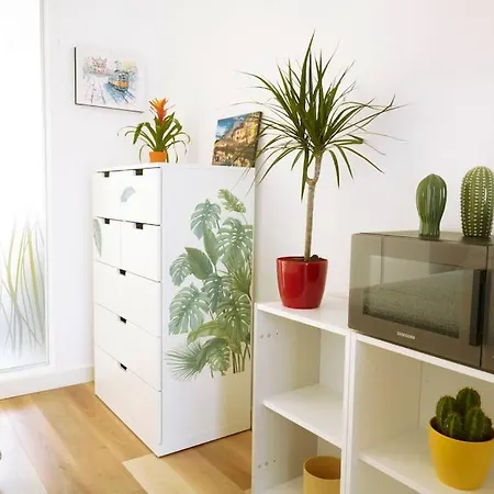 Apartmán Nuovissimo Monolocale In Centro